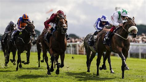 york race results|13:50 York .